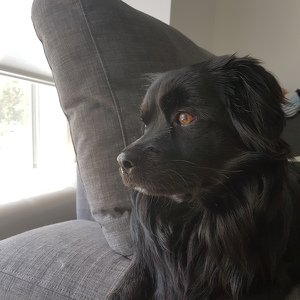 Fundraising Page: Stephen Green